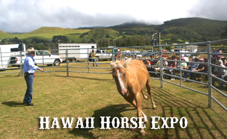 Hawaii Horse Expo