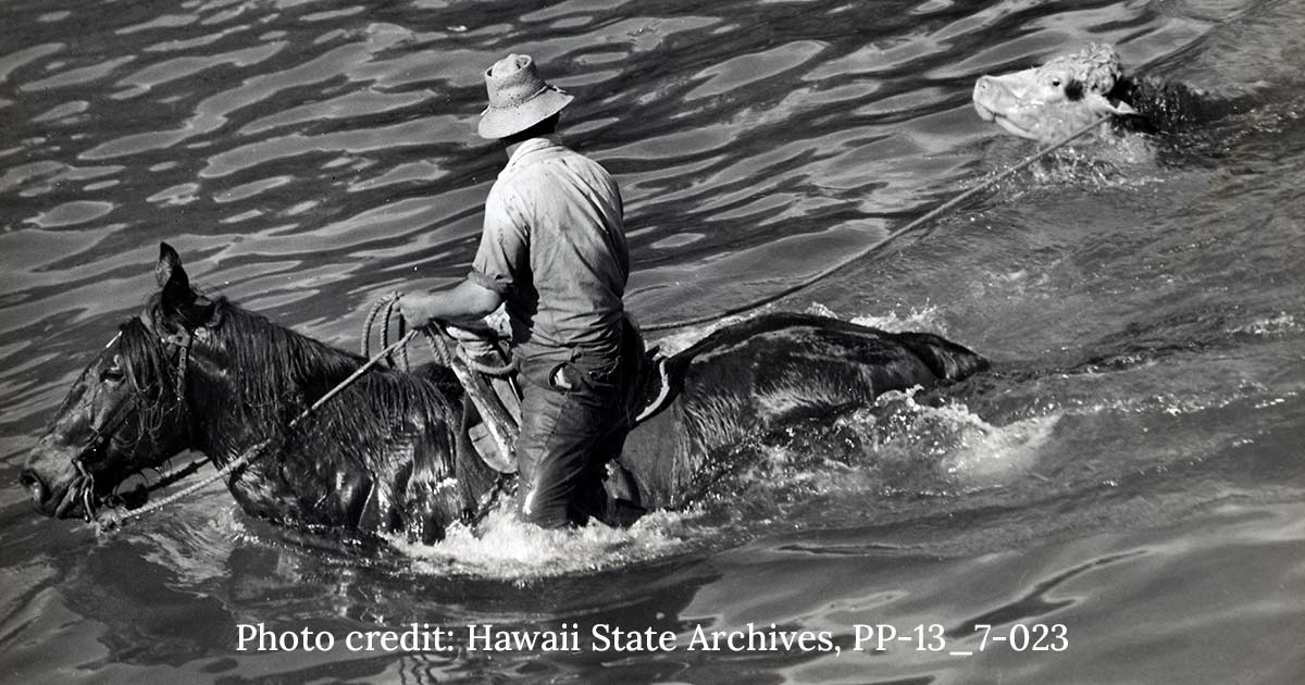 Photo credit: Hawaii State Archives, PP-13_7-023
