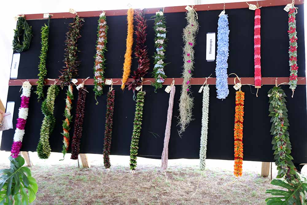 Lei Papale Contest display