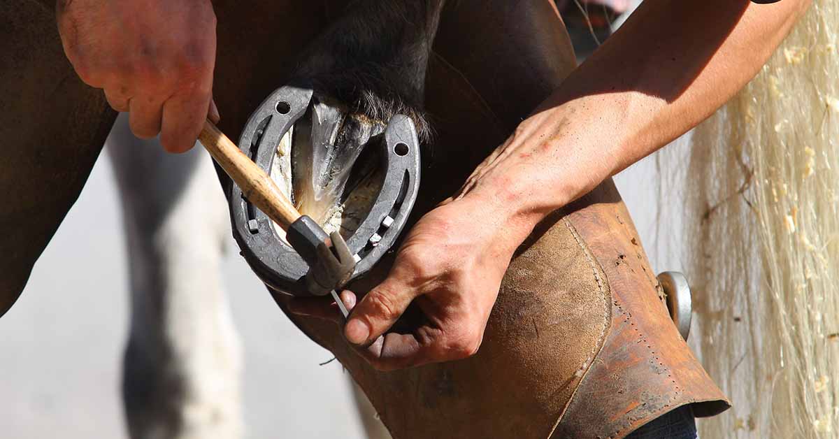 William Kealoha Farrier